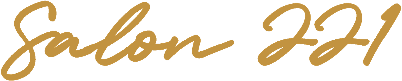 Salon 221 - Logo