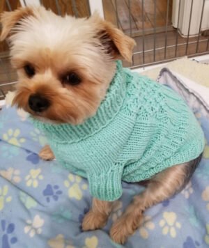 Knitting Pattern For Dog Sweater